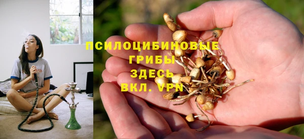 PSILOCYBIN Богородск